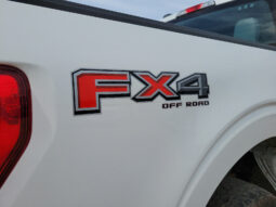 2021 Ford F-150 XL full
